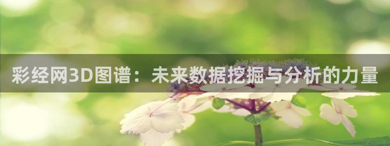 彩经网3D图谱：未来数据挖掘与分析的力量