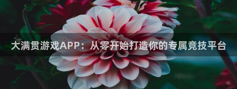 聚彩网app：大满贯游戏APP：从零开始打造你的专属竞技平台