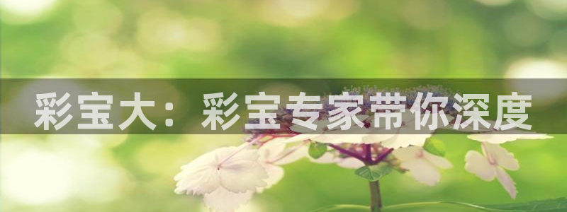 张家港聚彩纺织品有限公司：彩宝大：彩宝专家带你深度