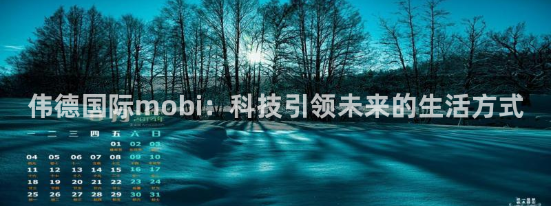 湖北聚彩新材料有限公司：伟德国际mobi：科技引领未来的生活方式