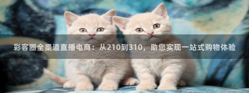 深圳市聚彩科技有限公司：彩客圈全渠道直播电商：从210到310，助您实现一站式购物体验