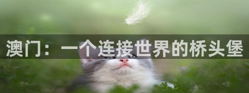 聚彩堂免费资料库入口：澳门：一个连接世界的桥头堡