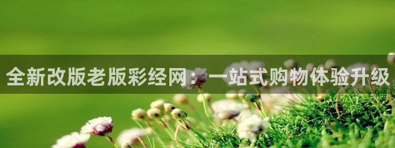 聚彩堂资料：全新改版老版彩经网：一站式购物体验升级